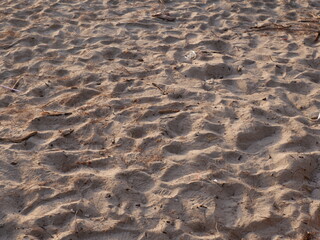 sand and water