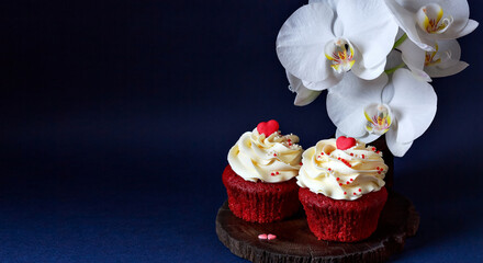 Cupcakes and white orchid flowers on dark blue background. Banner. Close up