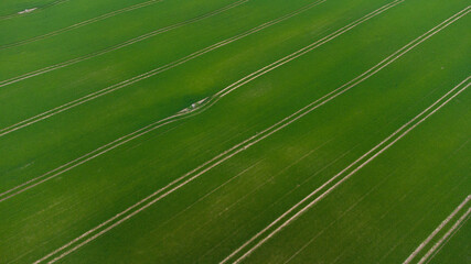 Traktorspuren auf einem Getreidefeld, Drohnenfoto