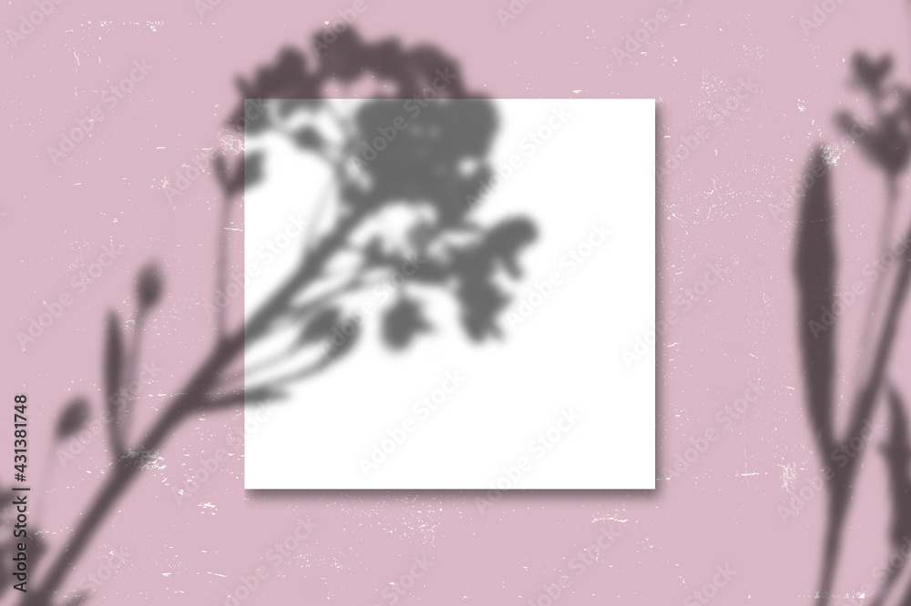 Leinwandbilder vector transparent shadows of leaves. decorative design elements for collages and mock ups. creative