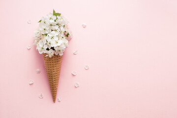 Ice cream cone with white cherry blossom