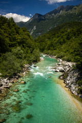Fototapeta na wymiar soca river in slovenia in summer