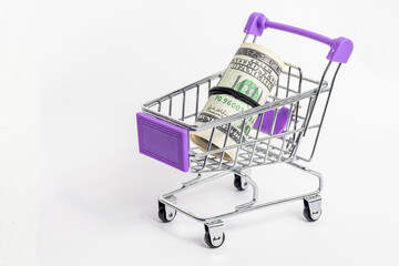 supermarket cart with dollars. Basket with US dollars inside isolated on white background. Investment, finance and exchange rate concept.