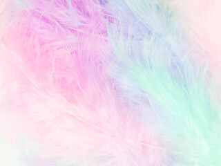 Beautiful abstract light pink feathers on colorful background, colorful feather frame on green purple and blue texture pattern, pink background, love theme wallpaper, valentines day, white gradient