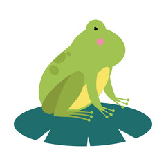 Cute Green Frog Amphibian Animal Cartoon Vector Illustration