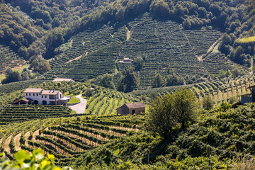 Picturesque hills with vineyards of the Prosecco sparkling wine region between Valdobbiadene and...