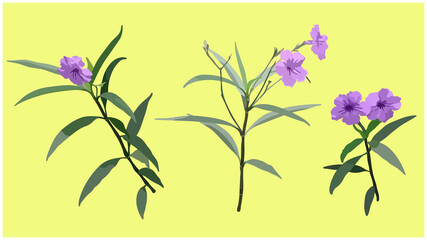 Botanical illustartion set of Ruellia (wild petunias) flowers hand drawn style isolated on bright yellow background, simple illustration, cute summer vibe