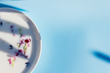 milk with flowers in a saucer on a blue background