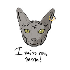 Cartoon head of a gray cat of the sphynx breed with a gold earring with a ring in the ear. Lettering with the inscription I miss you, mom. Vector illustration for printing on a postcard, textile