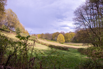 Fototapeta premium Nature scene at the Duivelsberg
