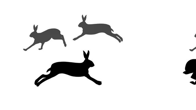 Running hares, animation on the white background (seamless loop)