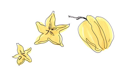 Naklejka premium Illustration by markers. Tropical fruits. carambola.