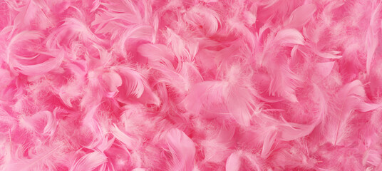 Fototapety  beautiful pink feathers.