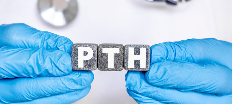 PTH Parathyroid hormone - word from stone blocks with letters holding by a doctor's hands in medical protective gloves