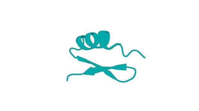 360&ordm; realistic 3D rendering of a biological molecule. Novel Blocker of Onco SK3 Channels Derived from Scorpion Toxin Tamapin and Active against Migration of Cancer Cells