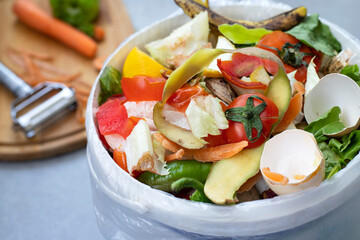 Food waste from domestic kitchen Responsible disposal of household food wastage in an environnmentally friendly way by recycling in compost bin at home
