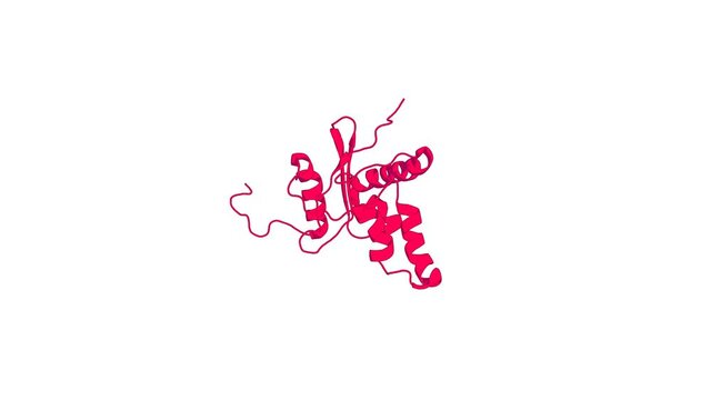 360&ordm; realistic 3D rendering of a biological molecule. Solution NMR structure of the apo form of a ribonuclease H domain of protein DSY1790 from Desulfitobacterium hafniense.