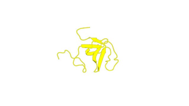 360&ordm; realistic 3D rendering of an animated biological molecule over a white background with alpha mask.  Solution structure of the SH3 domain of Abl interactor 2 (Abelson interactor 2)
