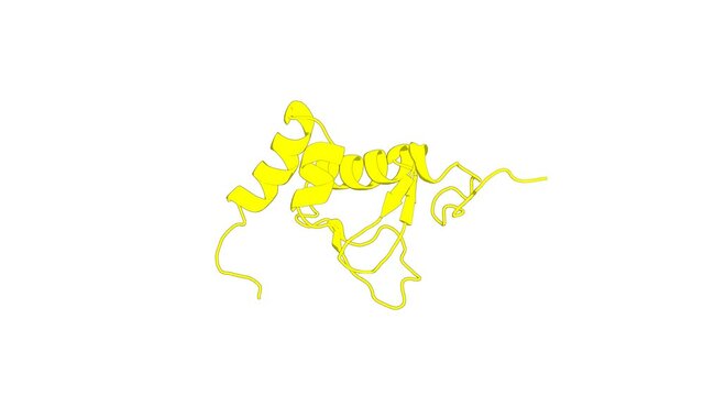 360&ordm; realistic 3D rendering of an animated biological molecule over a white background with alpha mask.  Solution Structure of the RING finger Domain of the human UbcM4-interacting Protein 4
