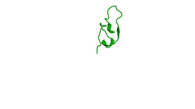 360&ordm; realistic 3D rendering of a biological molecule. A new fold in the scorpion toxin family, associated with an activity on a ryanodine-sensitive calcium channel.