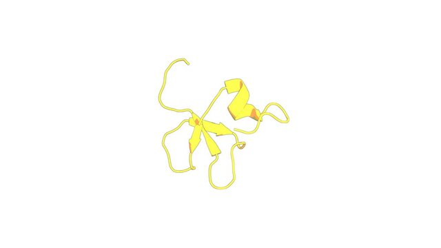360º realistic 3D rendering of an animated biological molecule over a white background with alpha mask.  Structure and antimicrobial activity of platypus 'intermediate' defensin-like peptide.