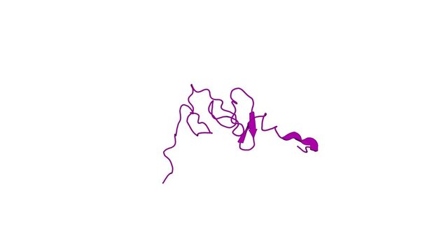 360&ordm; realistic 3D rendering of an animated biological molecule over a white background with alpha mask.  Solution structure of the first LIM domain from human four and a half LIM domains protein 3