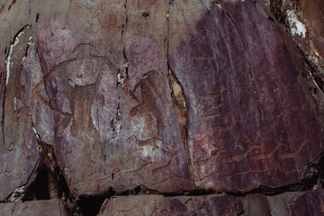 Ancient rock paintings Petroglyphs in the Altai Mountains.