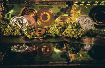 Cannabis and Bitcoin Cryptocurrency on the Market.
