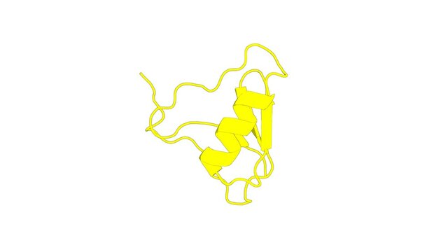 360&ordm; realistic 3D rendering of a biological molecule. The three-dimensional structure of the toxic peptide Cl13 from the scorpion Centruroides limpidus.