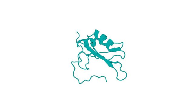 360&ordm; realistic 3D rendering of an animated biological molecule over a white background with alpha mask.  Solution structure of the N-terminal RNA binding domain in DAZ-associated protein 1