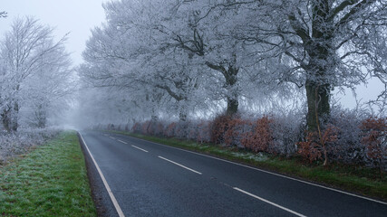 Fototapeta premium Hoarfrost and freezing fog on Wheely Down, South Downs National Park