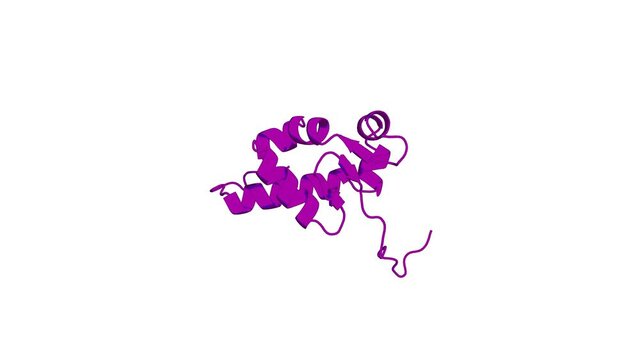 360&ordm; realistic 3D rendering of an animated biological molecule over a white background with alpha mask.  Solution structure of the La domain of c-Mpl binding protein