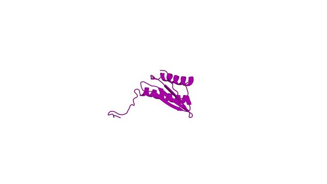 360&ordm; realistic 3D rendering of an animated biological molecule over a white background with alpha mask.  Solution structure of HI0257, a bacterial ribosome binding protein.