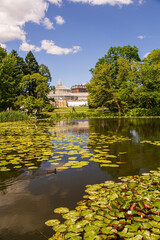 Obraz premium Water lilies in the lake, in front of the botanic gardens glasshouse.
