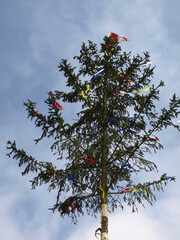 Maibaum mit Blauem Himmel im Hintergrund aus dem Waldviertel Niederösterreich unbearbeitet