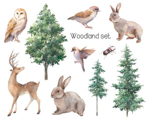 Woodland illustration set. Watercolor animals and trees clipart. Deer, rabbits, birds, fir and trees isolated on white background.