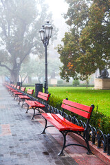 Bench park in autumn