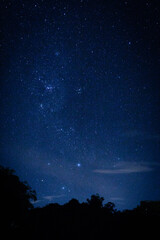Fototapeta na wymiar Night Sky with Stars