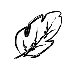 leaflet leaf hand brush drawing minimalistic isolated stylized digital