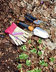 Early spring yard and garden clean up from winter season mulched flowerbeds. Nature backyard landscaped home and gardens. Photo background, lifestyle and hobbies. Close-up