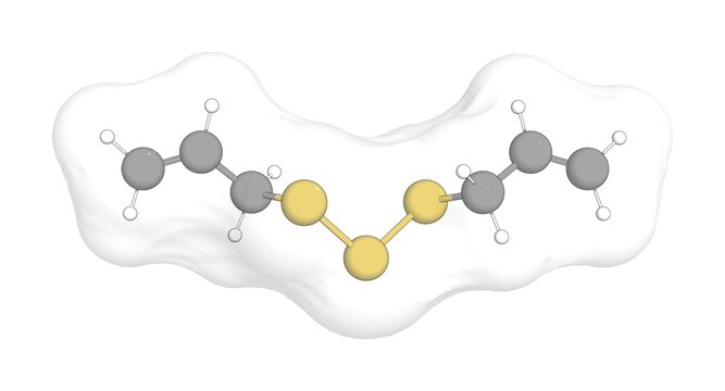 3D rendering of Diallyl Trisulfide with white transparent surface over a white opaque background. Also called allyl trisulfide and allitridin.