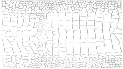 Crocodile Alligator Skin Reptile Snake Texture Pattern Vector Scalable Black White Transparent