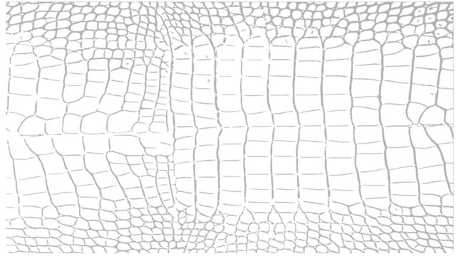 Crocodile Alligator Skin Reptile Snake Texture Pattern Vector Scalable Black White Transparent