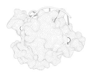 3D rendering as a line drawing of a biological molecule. Nonspecific Recognition Is Achieved in Pot1pC through the Use of Multiple Binding Modes.