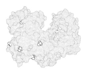 3D rendering as a line drawing of a biological molecule. Structural and mechanistic insights into an archaeal DNA-guided Argonaute protein.