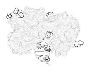 3D rendering as a line drawing of a biological molecule. Structural analysis of an Escherichia coli endonuclease VIII covalent reaction intermediate.