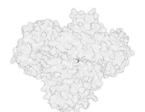 3D rendering as a line drawing of a biological molecule. Conformational States of HIV-1 Reverse Transcriptase for Nucleotide Incorporation vs Pyrophosphorolysis-Binding of Foscarnet.