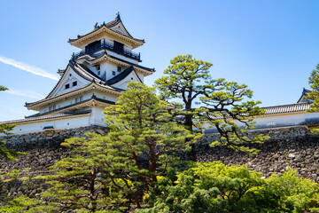 Fototapeta premium 青空の高知城の風景