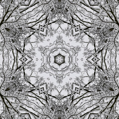 Artificial snowflake, kaleidospopic view through the branches to the sky, meditation background