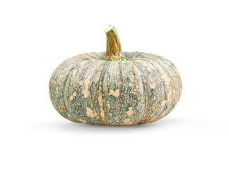 pumpkin   isolated on a white background